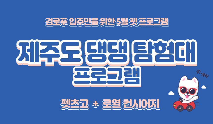 (마감) 제주도 댕댕 탐험대 프로그램